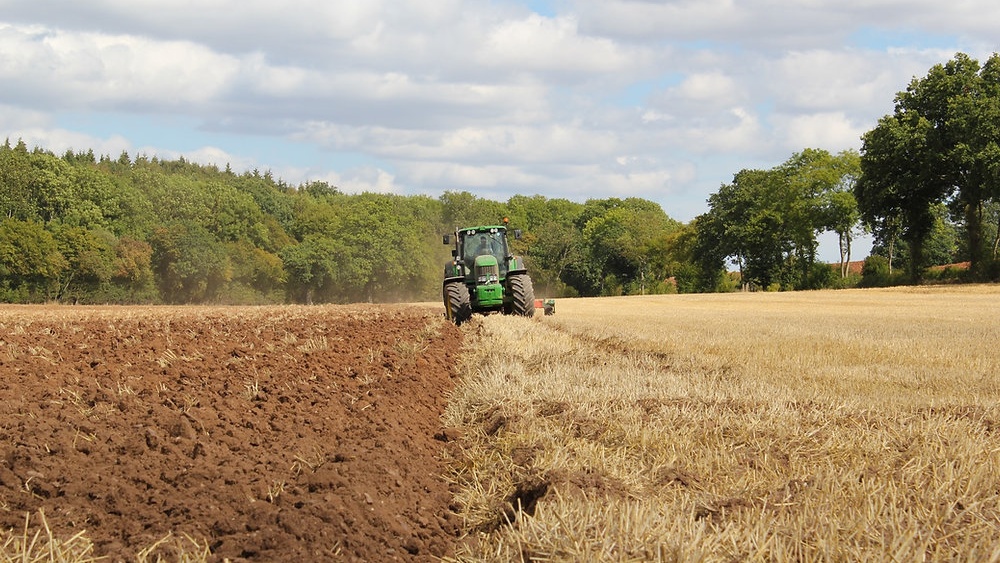 Preparing the land involves clearing any debris, weeds and other unwanted materials from it